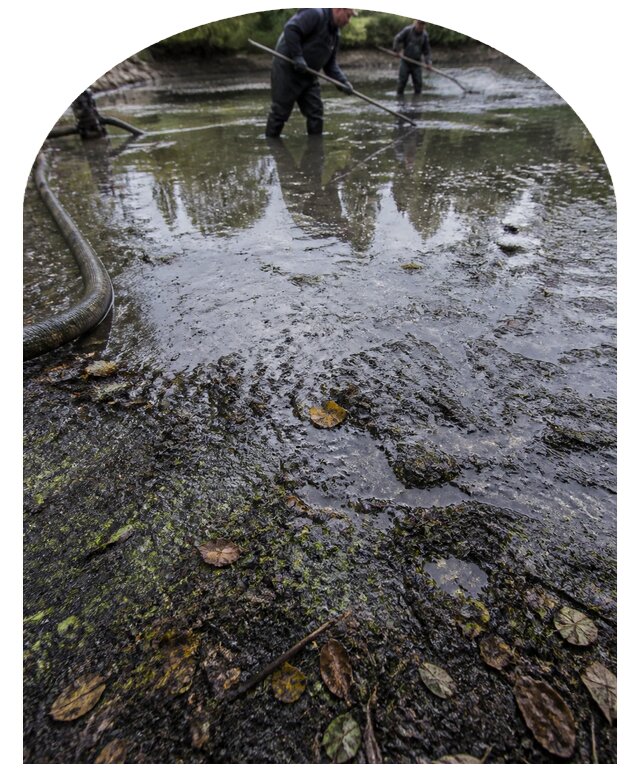 Очистка пруда в Дедовске от ила мусора и водорослей с вывозом